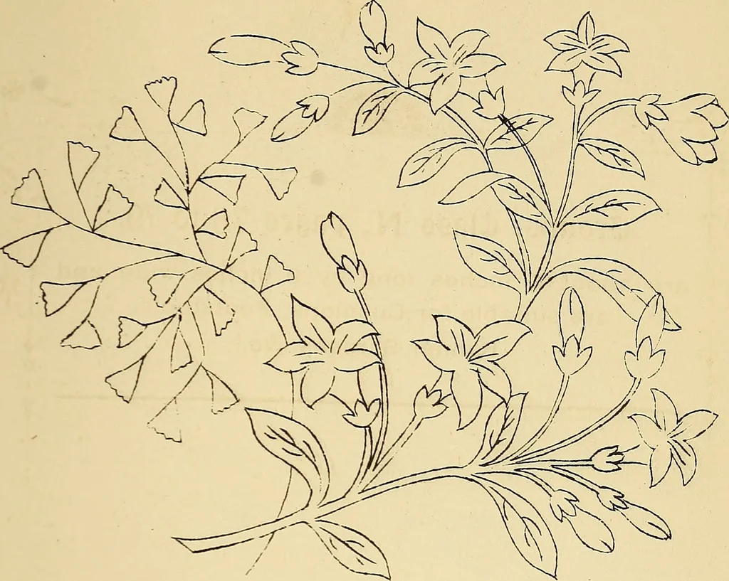 An illustration from Briggs & Co.'s patent transferring papers : protected by Her Most Gracious Majesty's royal letters patent, 1880, leaf 88
