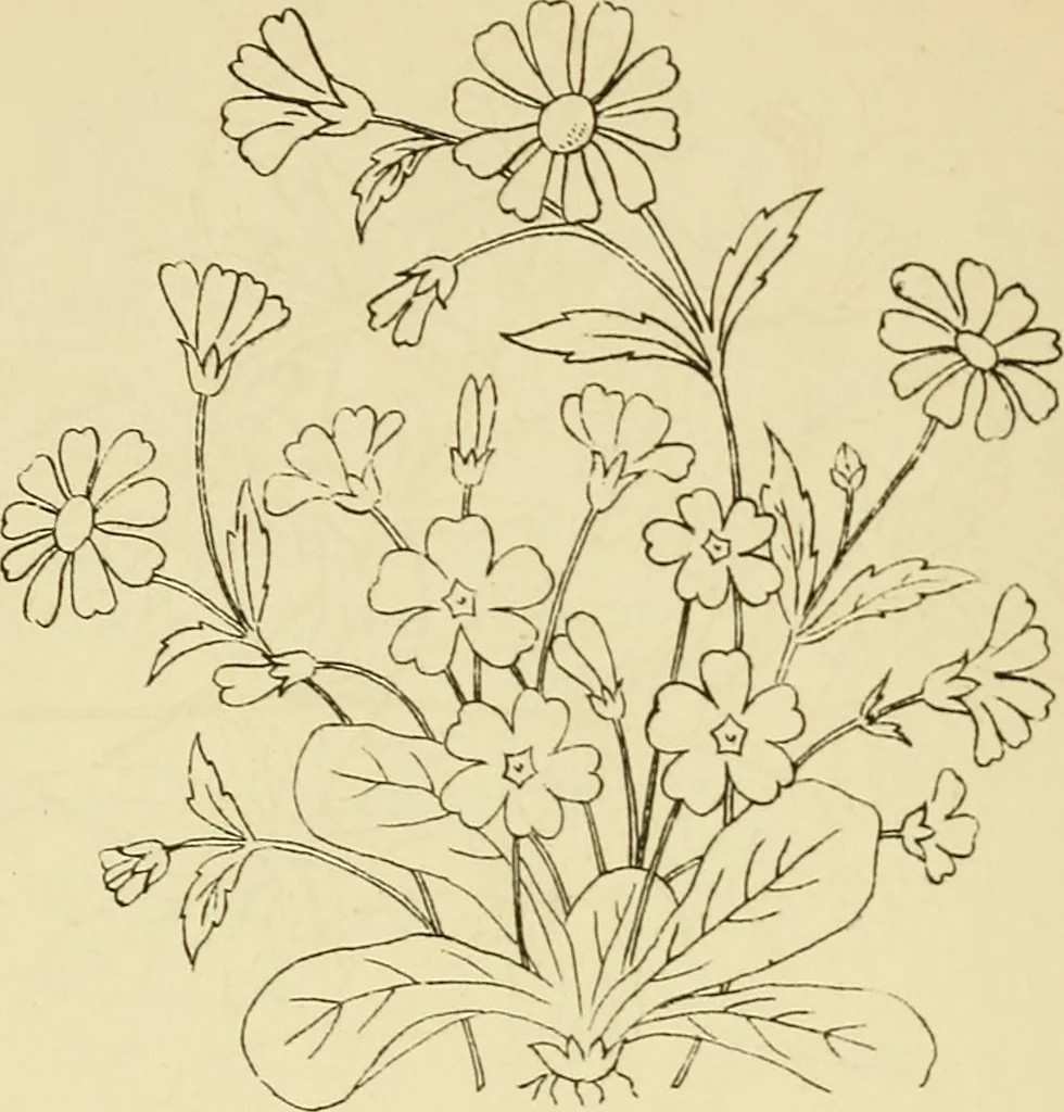 An illustration from Briggs & Co.'s patent transferring papers : protected by Her Most Gracious Majesty's royal letters patent, 1880, leaf 89