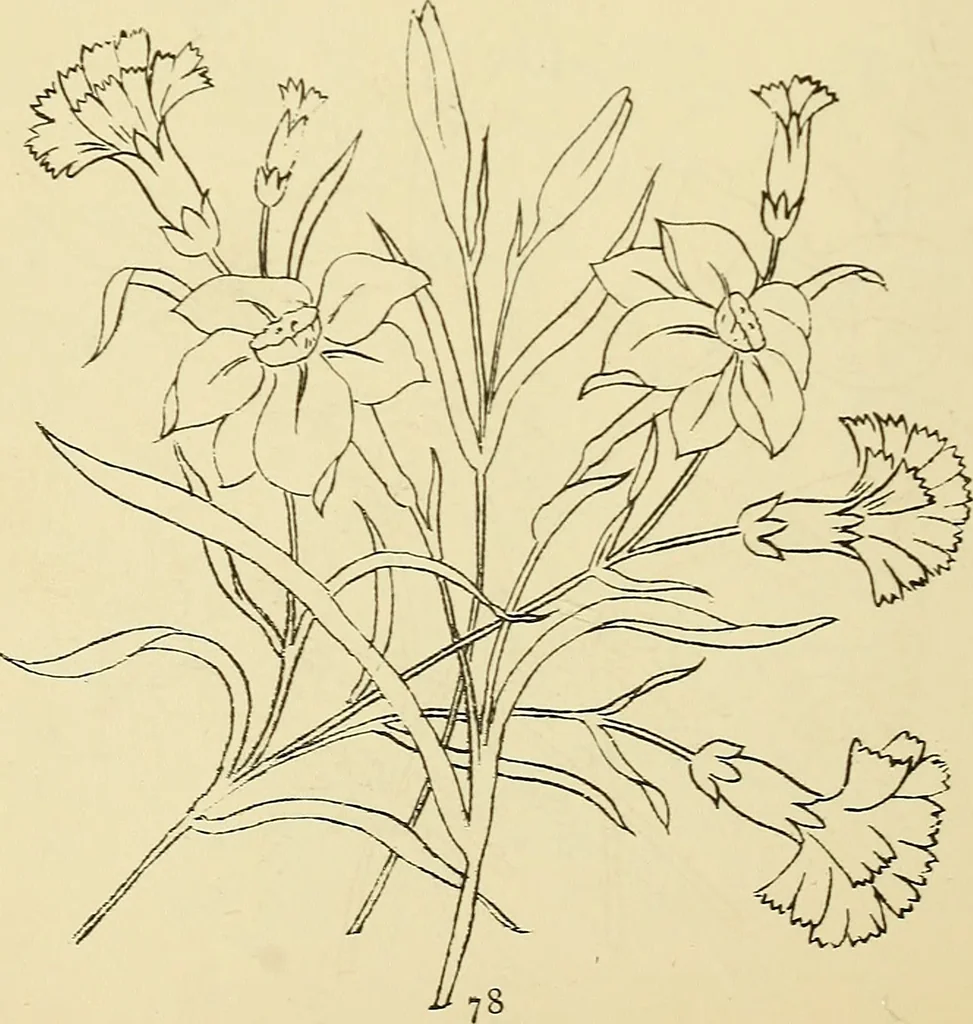 An illustration from Briggs & Co.'s patent transferring papers : protected by Her Most Gracious Majesty's royal letters patent, 1880, leaf 89