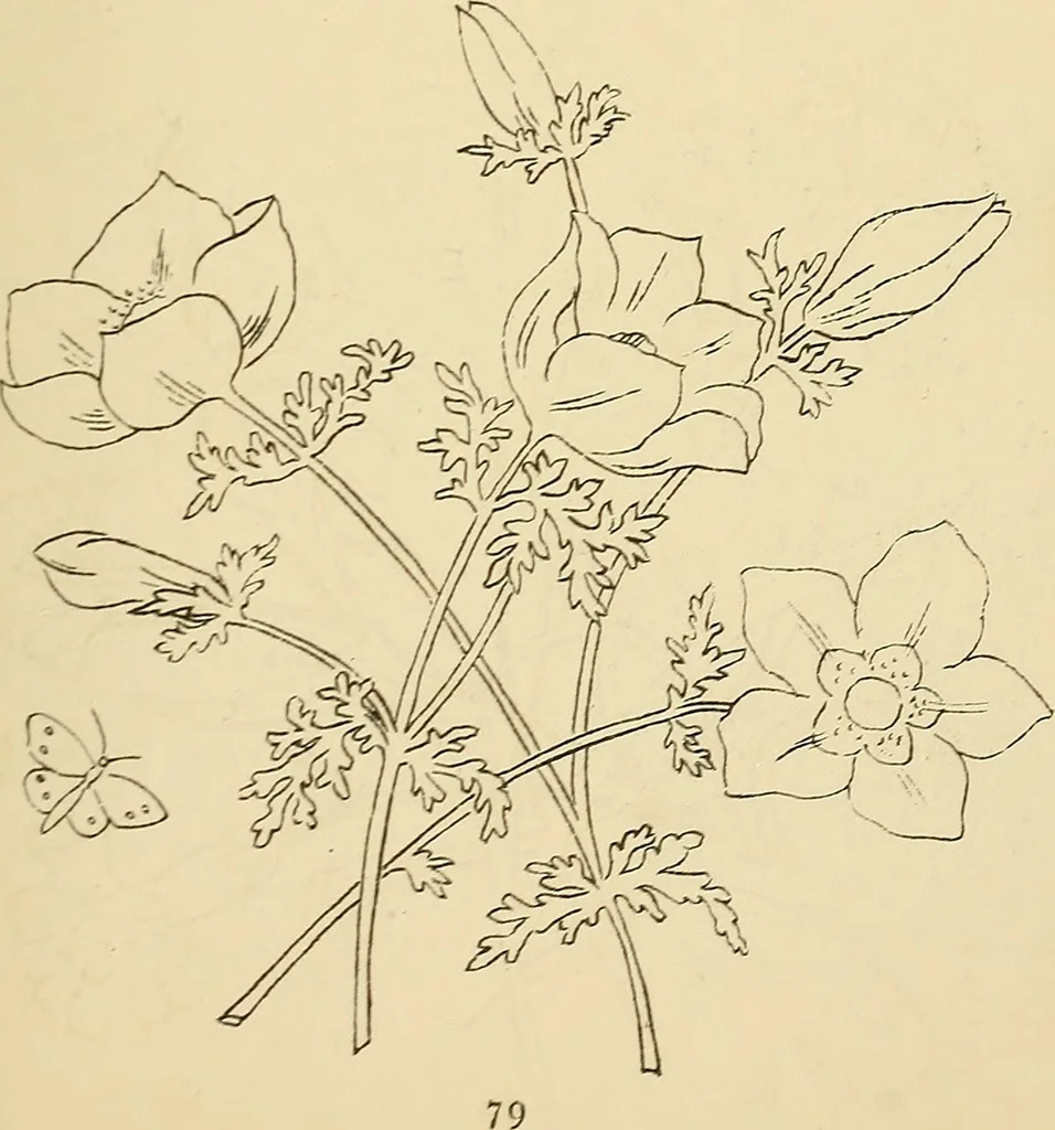 An illustration from Briggs & Co.'s patent transferring papers : protected by Her Most Gracious Majesty's royal letters patent, 1880, leaf 90