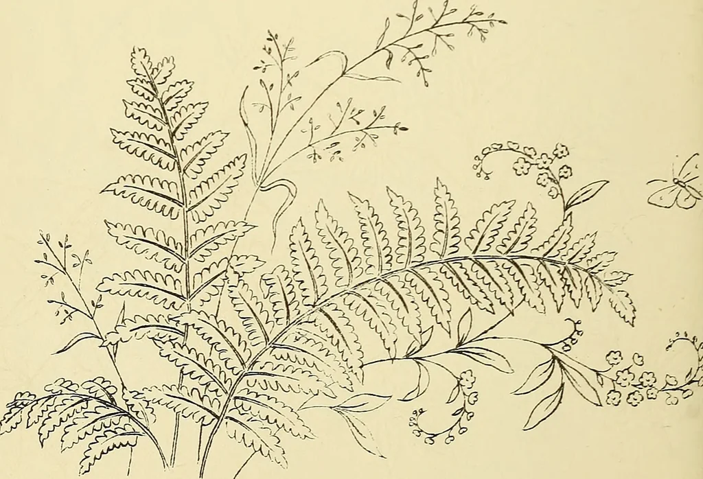 An illustration from Briggs & Co.'s patent transferring papers : protected by Her Most Gracious Majesty's royal letters patent, 1880, leaf 95
