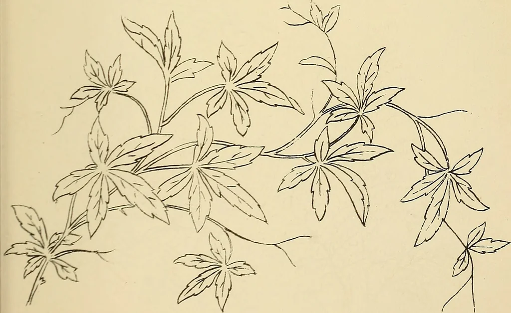 An illustration from Briggs & Co.'s patent transferring papers : protected by Her Most Gracious Majesty's royal letters patent, 1880, leaf 96