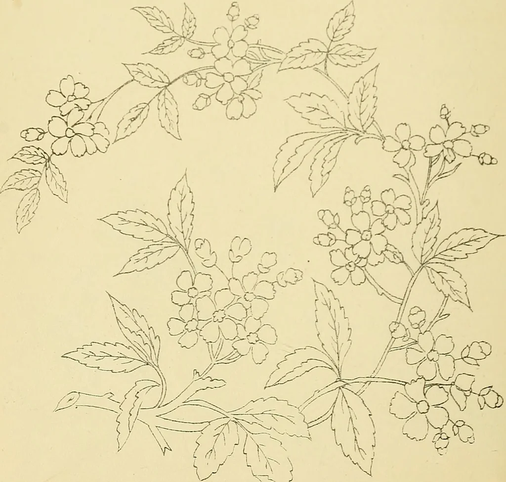 An illustration from Briggs & Co.'s patent transferring papers : protected by Her Most Gracious Majesty's royal letters patent, 1880, leaf 97