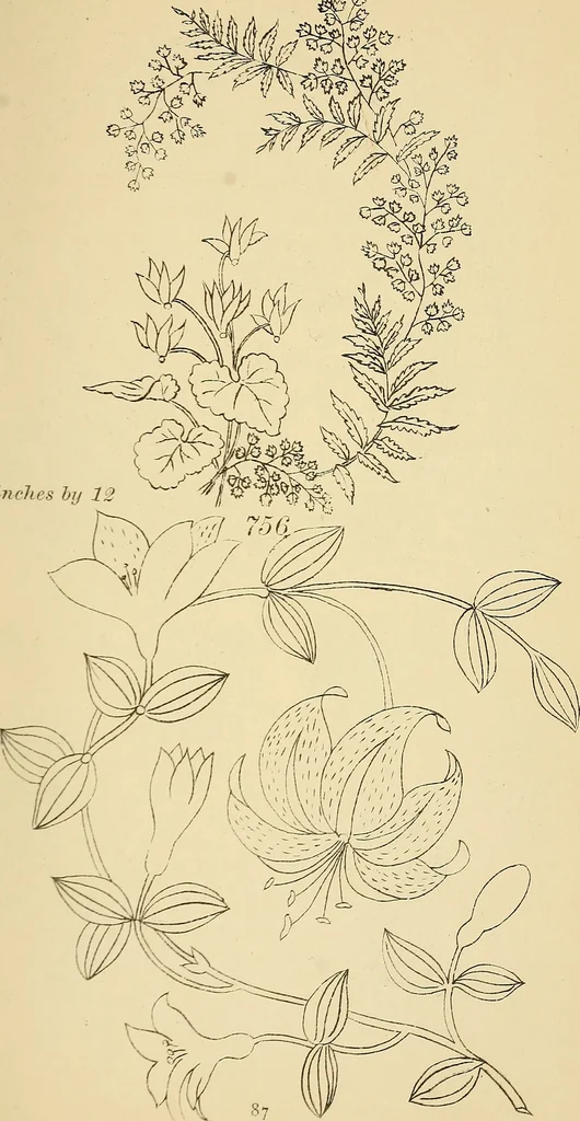 An illustration from Briggs & Co.'s patent transferring papers : protected by Her Most Gracious Majesty's royal letters patent, 1880, leaf 98