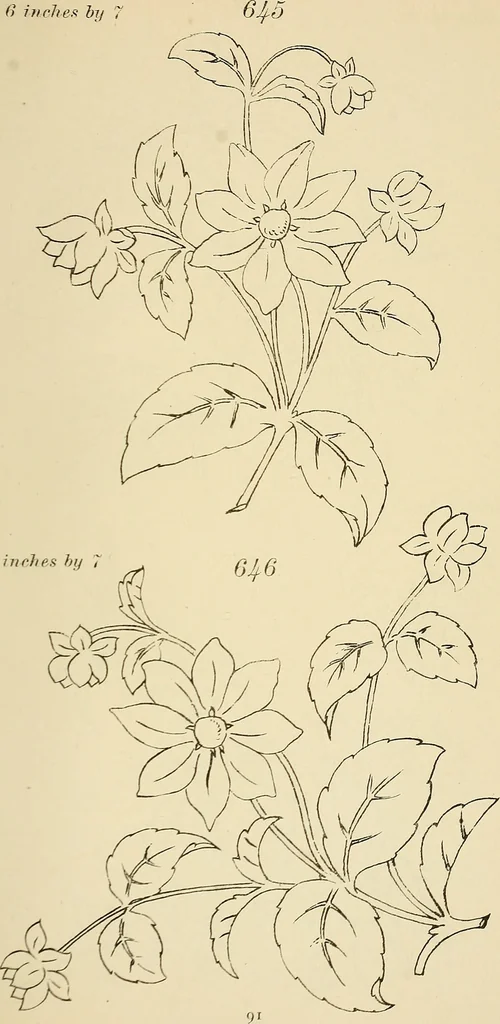 An illustration from Briggs & Co.'s patent transferring papers : patented for the United States of America, 1880, leaf 100