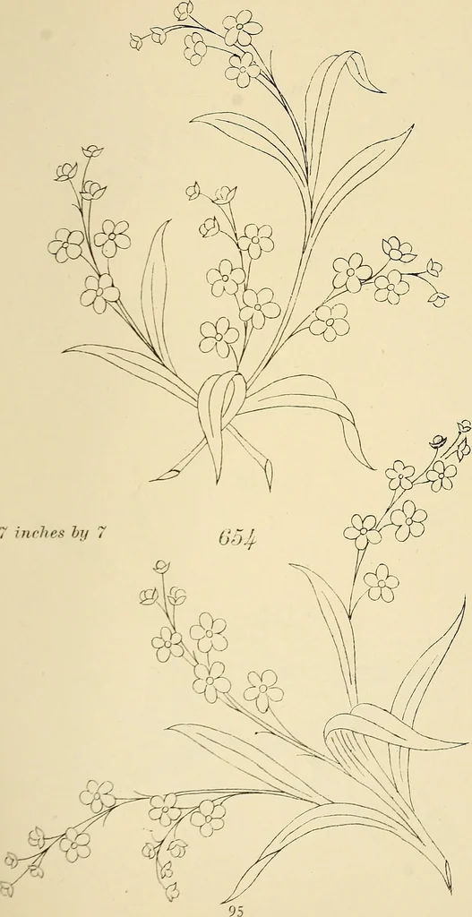 An illustration from Briggs & Co.'s patent transferring papers : patented for the United States of America, 1880, leaf 104