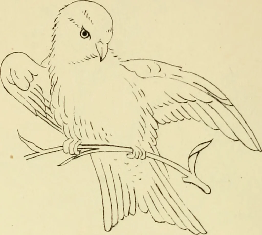 An illustration from Briggs & Co.'s patent transferring papers : patented for the United States of America, 1880, leaf 105