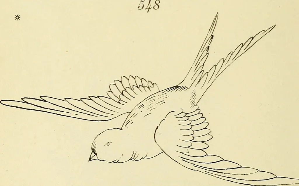 An illustration from Briggs & Co.'s patent transferring papers : patented for the United States of America, 1880, leaf 105