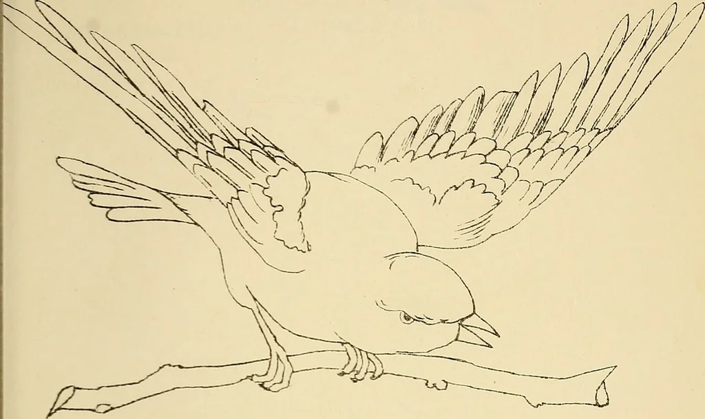 An illustration from Briggs & Co.'s patent transferring papers : patented for the United States of America, 1880, leaf 106