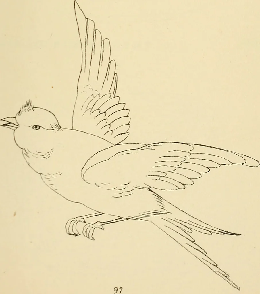 An illustration from Briggs & Co.'s patent transferring papers : patented for the United States of America, 1880, leaf 106