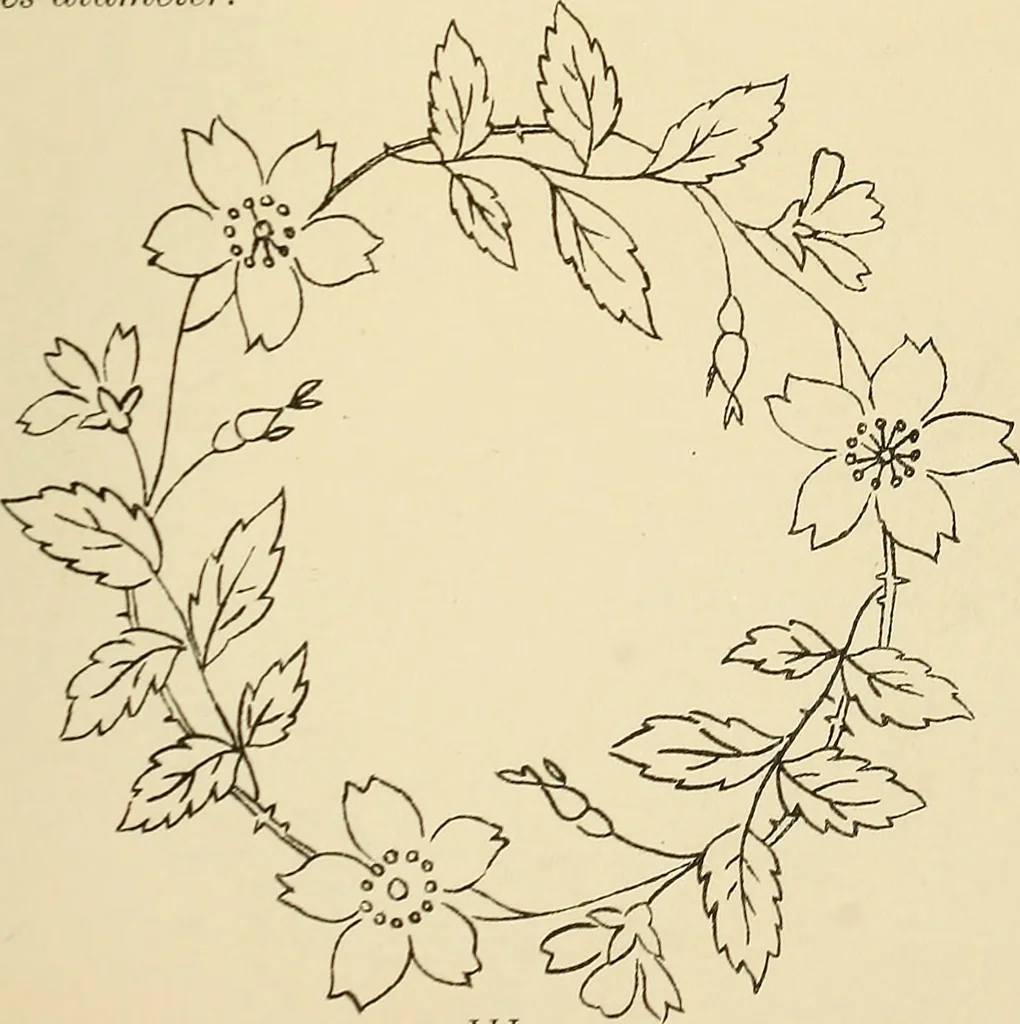 An illustration from Briggs & Co.'s patent transferring papers : patented for the United States of America, 1880, leaf 120