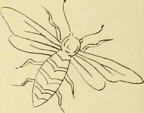 An illustration from Briggs & Co.'s patent transferring papers : patented for the United States of America, 1880, leaf 125