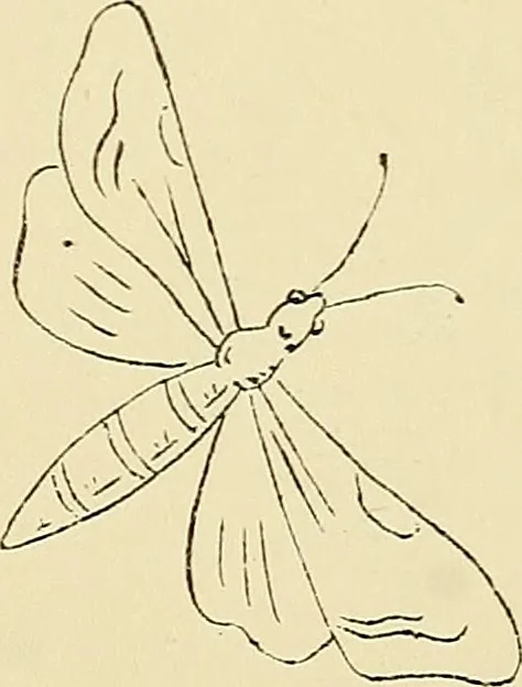 An illustration from Briggs & Co.'s patent transferring papers : patented for the United States of America, 1880, leaf 125