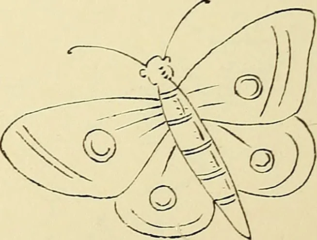 An illustration from Briggs & Co.'s patent transferring papers : patented for the United States of America, 1880, leaf 125