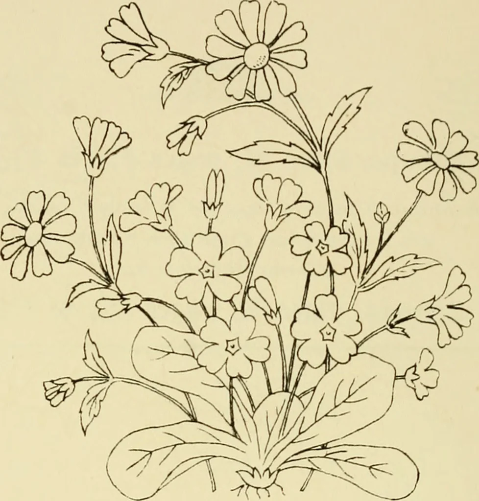 An illustration from Briggs & Co.'s patent transferring papers : patented for the United States of America, 1880, leaf 127
