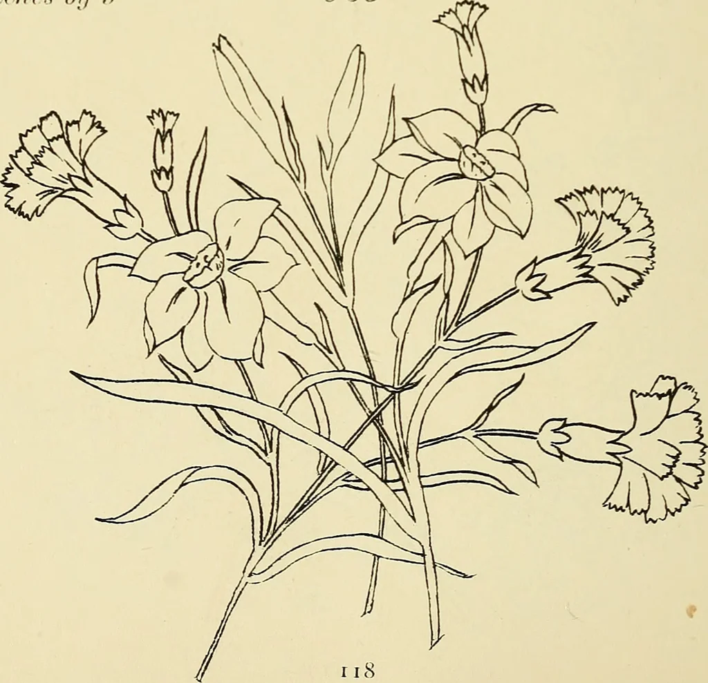 An illustration from Briggs & Co.'s patent transferring papers : patented for the United States of America, 1880, leaf 127