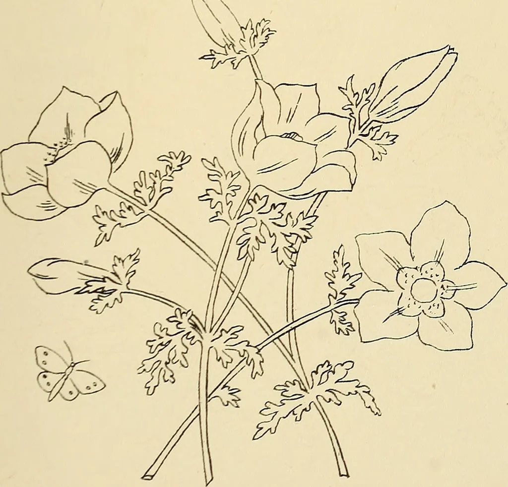 An illustration from Briggs & Co.'s patent transferring papers : patented for the United States of America, 1880, leaf 128