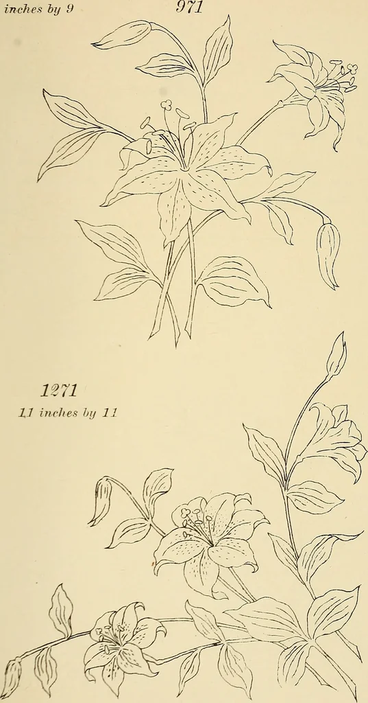 An illustration from Briggs & Co.'s patent transferring papers : patented for the United States of America, 1880, leaf 132