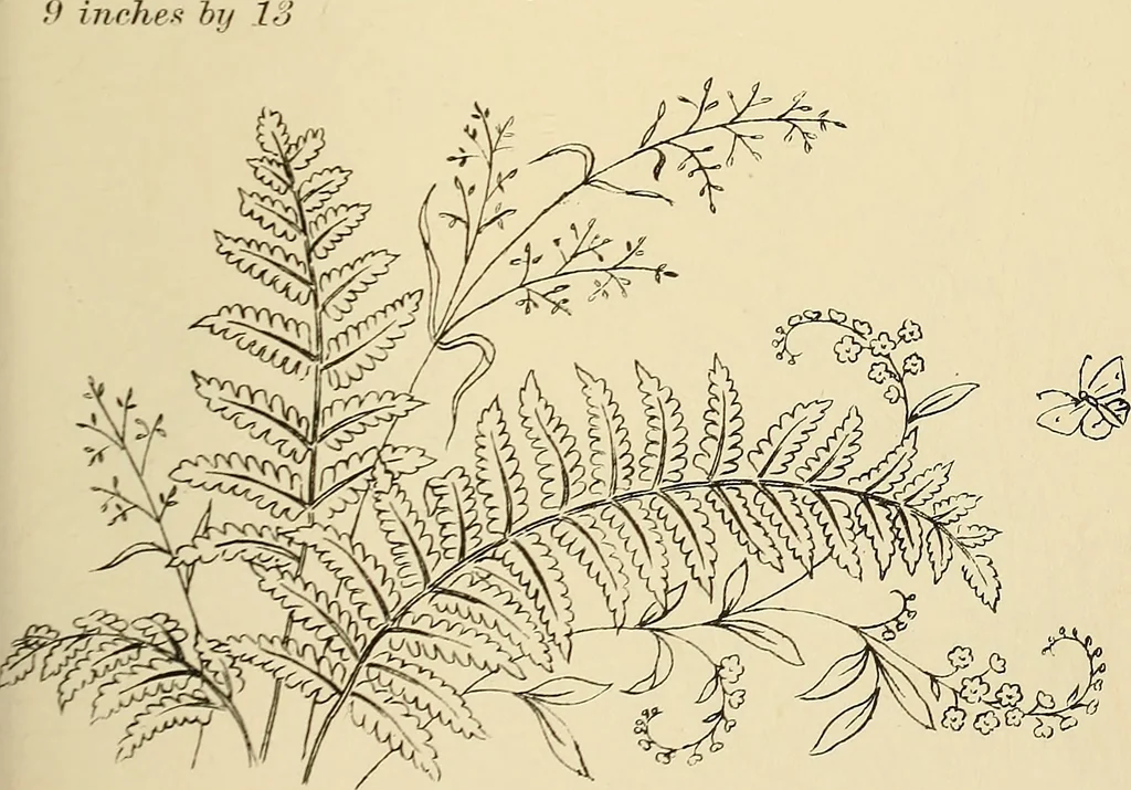 An illustration from Briggs & Co.'s patent transferring papers : patented for the United States of America, 1880, leaf 136