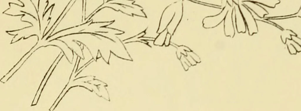 An illustration from Briggs & Co.'s patent transferring papers : patented for the United States of America, 1880, leaf 137