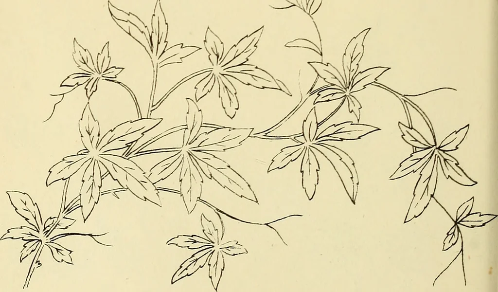 An illustration from Briggs & Co.'s patent transferring papers : patented for the United States of America, 1880, leaf 137