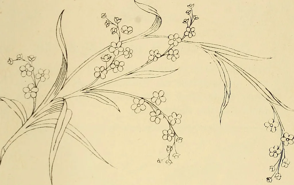 An illustration from Briggs & Co.'s patent transferring papers : patented for the United States of America, 1880, leaf 138