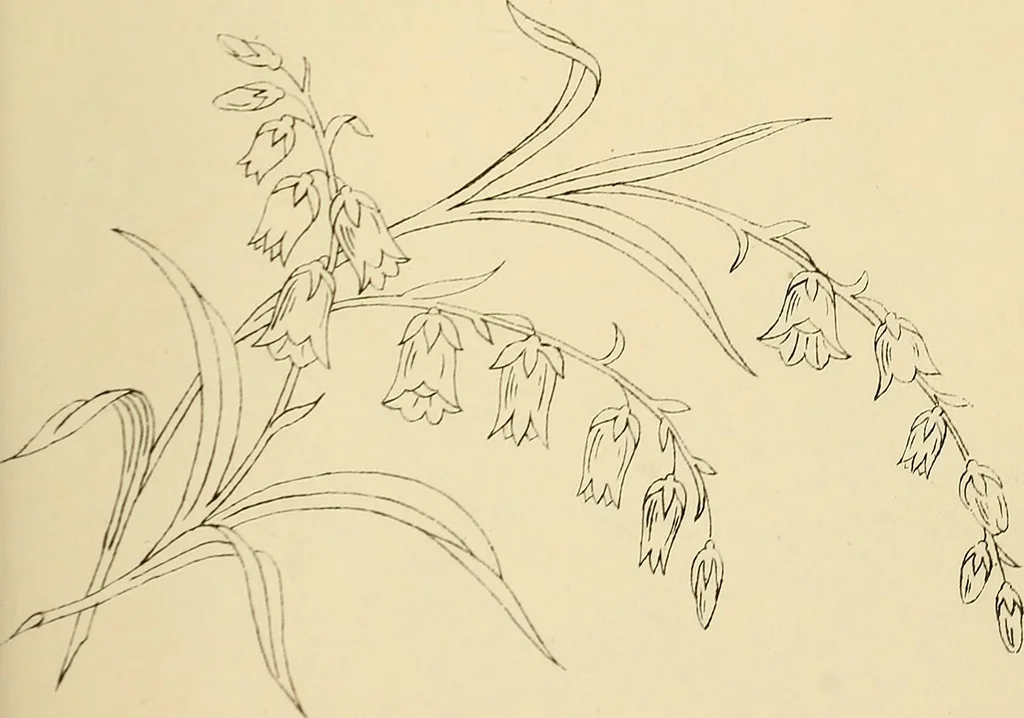 An illustration from Briggs & Co.'s patent transferring papers : patented for the United States of America, 1880, leaf 138