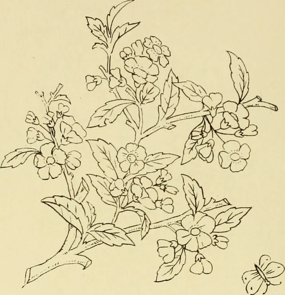 An illustration from Briggs & Co.'s patent transferring papers : patented for the United States of America, 1880, leaf 147