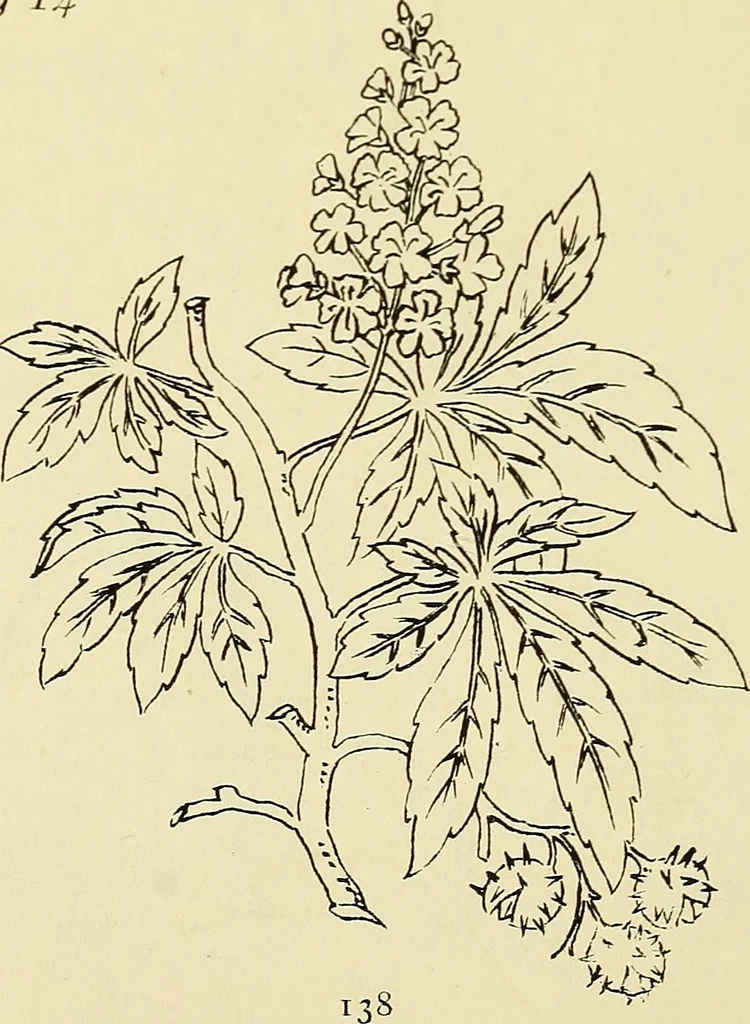 An illustration from Briggs & Co.'s patent transferring papers : patented for the United States of America, 1880, leaf 147