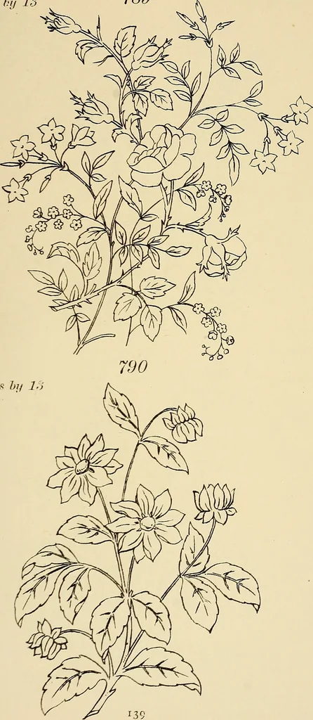 An illustration from Briggs & Co.'s patent transferring papers : patented for the United States of America, 1880, leaf 148