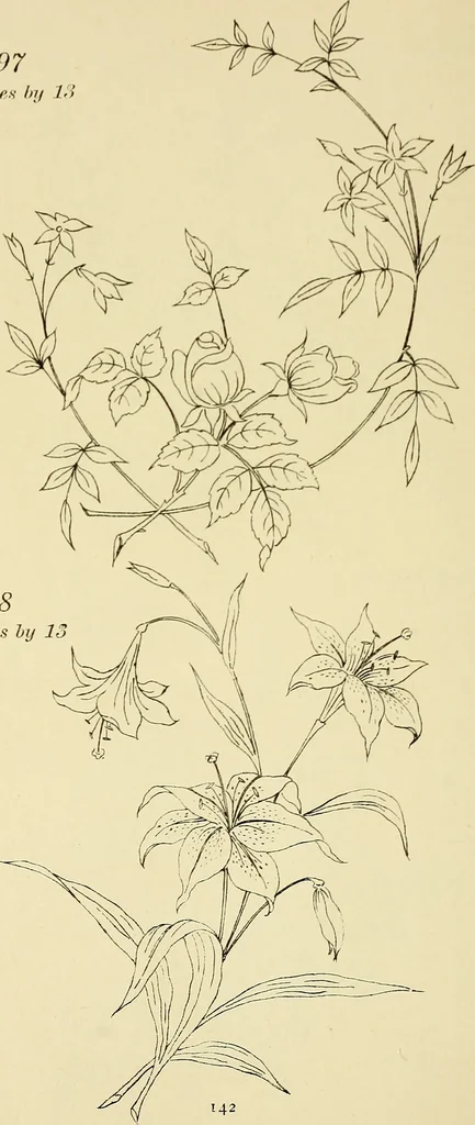 An illustration from Briggs & Co.'s patent transferring papers : patented for the United States of America, 1880, leaf 151