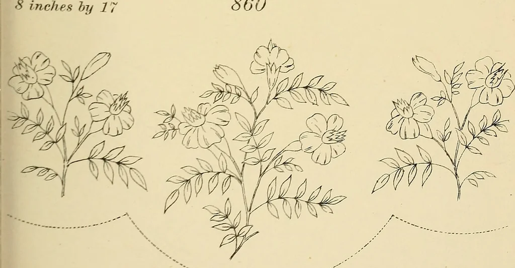 An illustration from Briggs & Co.'s patent transferring papers : patented for the United States of America, 1880, leaf 158