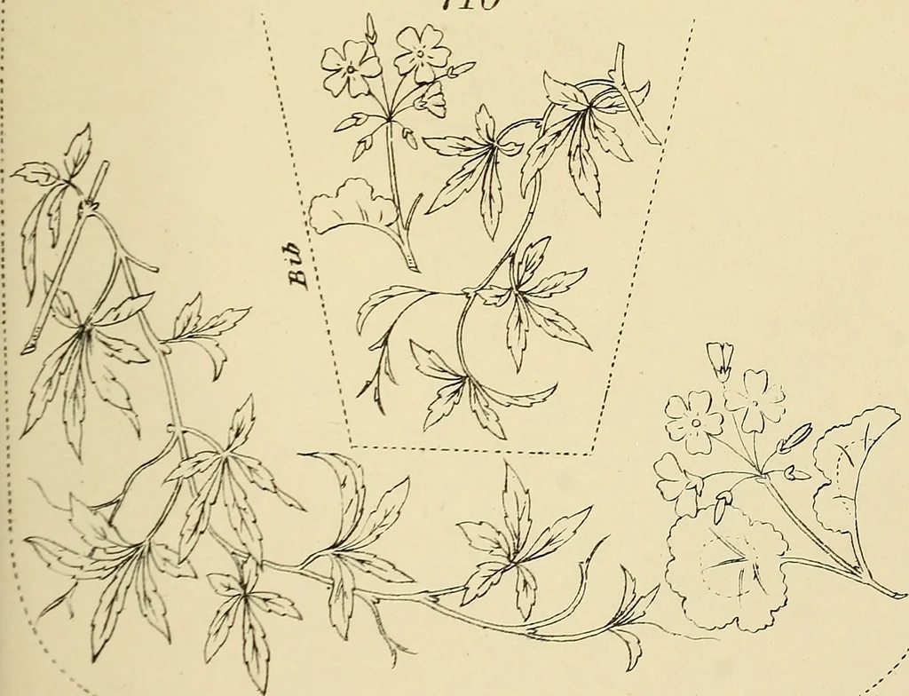An illustration from Briggs & Co.'s patent transferring papers : patented for the United States of America, 1880, leaf 162