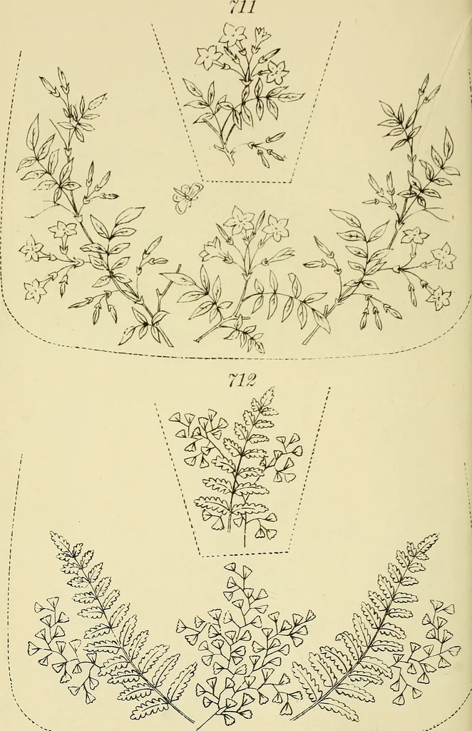 An illustration from Briggs & Co.'s patent transferring papers : patented for the United States of America, 1880, leaf 163