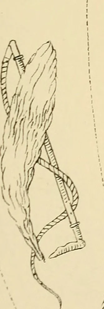 An illustration from Briggs & Co.'s patent transferring papers : patented for the United States of America, 1880, leaf 170