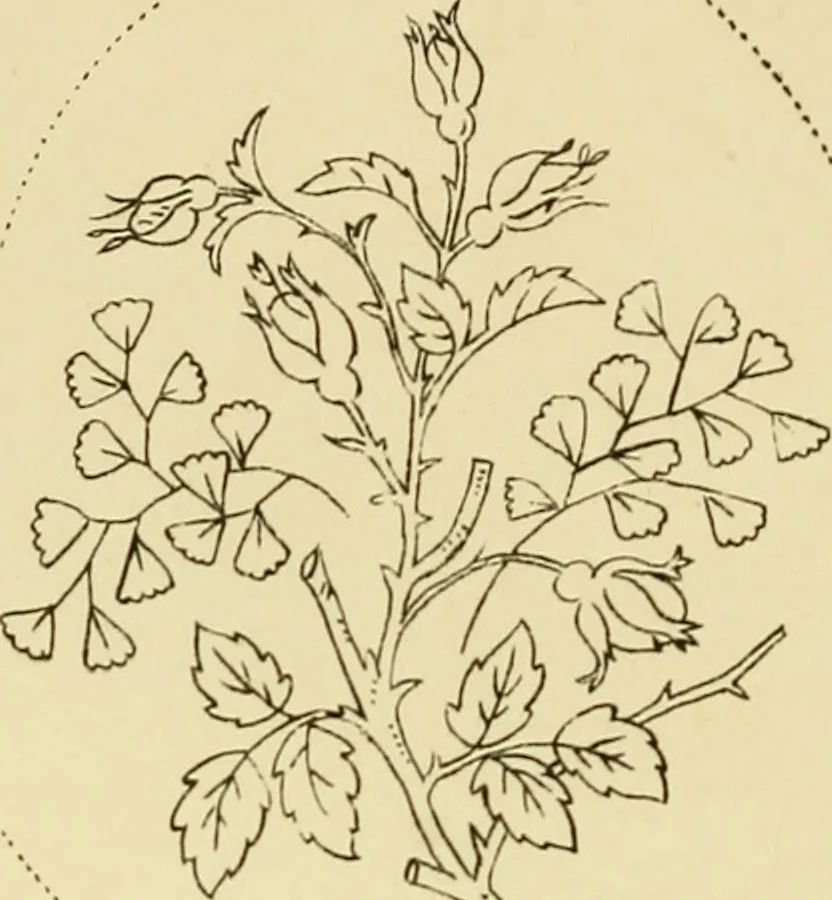 An illustration from Briggs & Co.'s patent transferring papers : patented for the United States of America, 1880, leaf 175