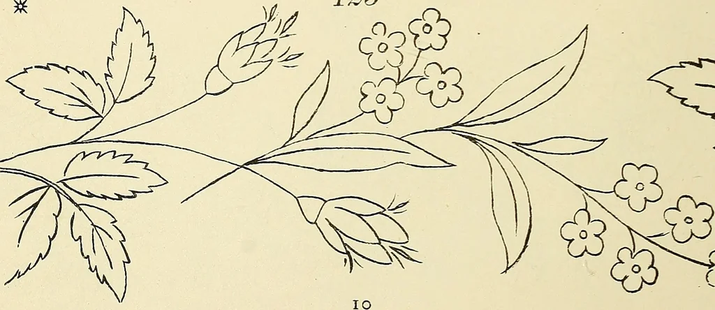 An illustration from Briggs & Co.'s patent transferring papers : patented for the United States of America, 1880, leaf 19