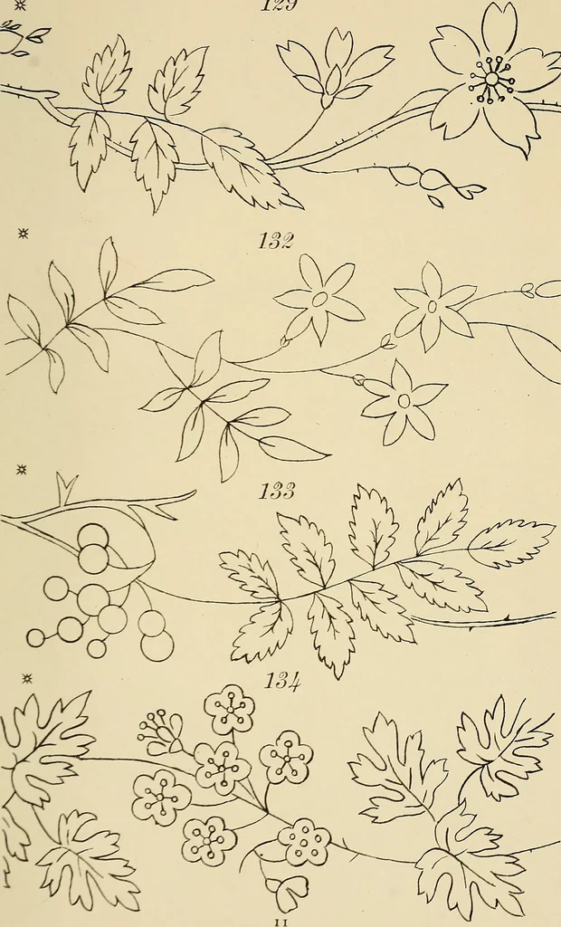 An illustration from Briggs & Co.'s patent transferring papers : patented for the United States of America, 1880, leaf 20