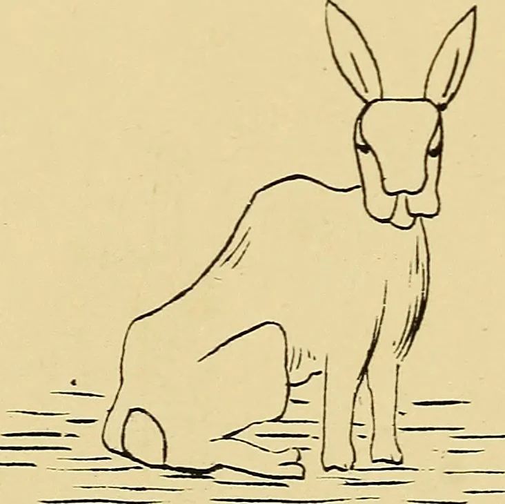 An illustration from Briggs & Co.'s patent transferring papers : patented for the United States of America, 1880, leaf 201