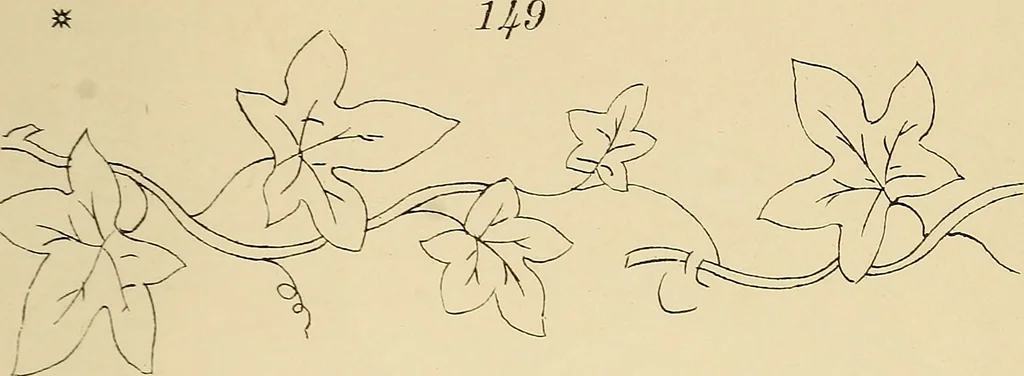An illustration from Briggs & Co.'s patent transferring papers : patented for the United States of America, 1880, leaf 22