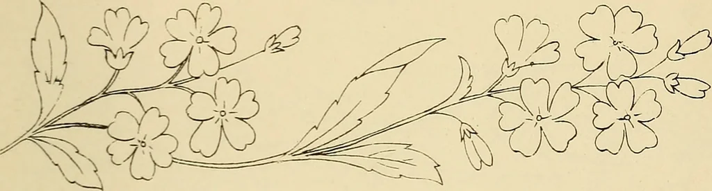 An illustration from Briggs & Co.'s patent transferring papers : patented for the United States of America, 1880, leaf 22