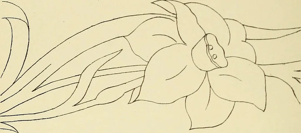 An illustration from Briggs & Co.'s patent transferring papers : patented for the United States of America, 1880, leaf 23