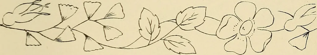 An illustration from Briggs & Co.'s patent transferring papers : patented for the United States of America, 1880, leaf 24
