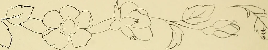 An illustration from Briggs & Co.'s patent transferring papers : patented for the United States of America, 1880, leaf 25