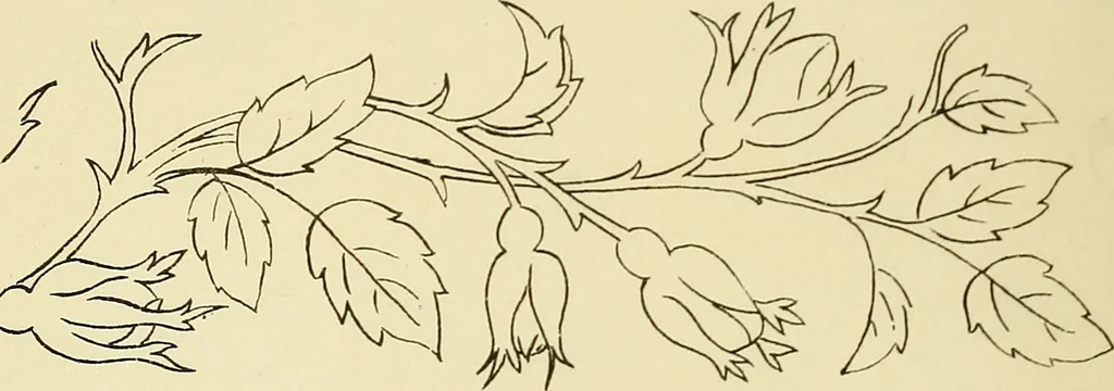 An illustration from Briggs & Co.'s patent transferring papers : patented for the United States of America, 1880, leaf 25
