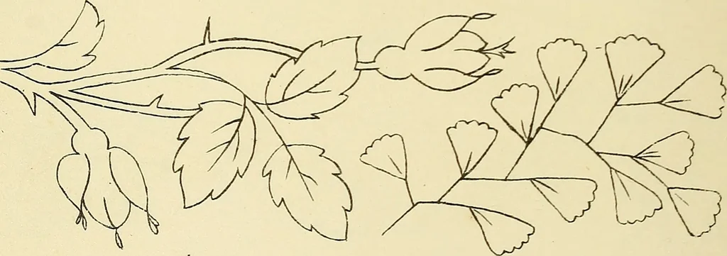 An illustration from Briggs & Co.'s patent transferring papers : patented for the United States of America, 1880, leaf 25