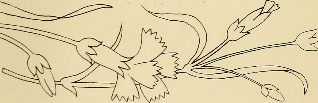 An illustration from Briggs & Co.'s patent transferring papers : patented for the United States of America, 1880, leaf 26