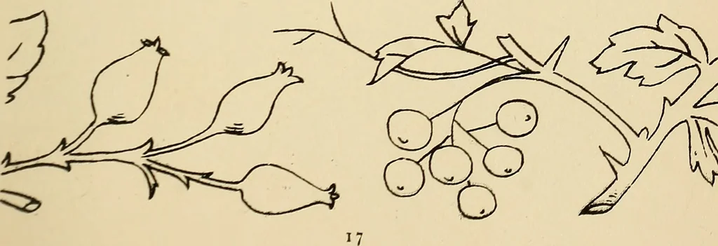 An illustration from Briggs & Co.'s patent transferring papers : patented for the United States of America, 1880, leaf 26