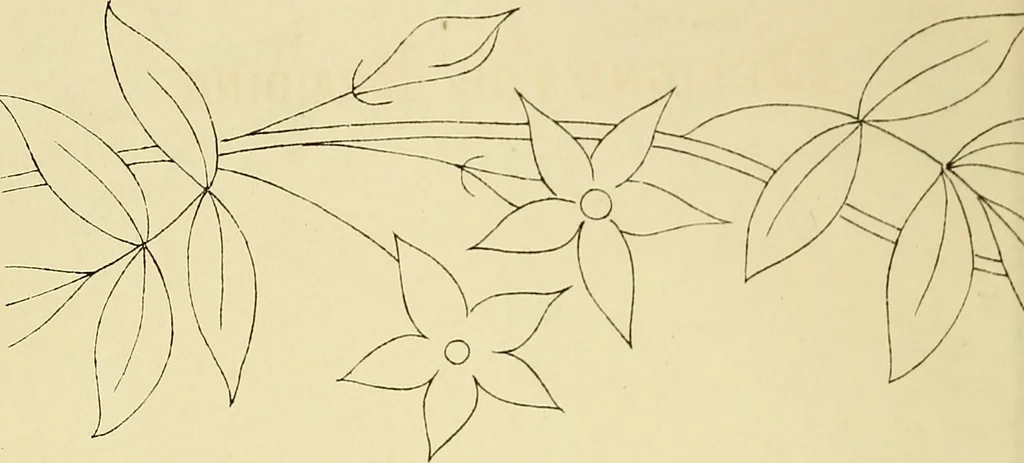 An illustration from Briggs & Co.'s patent transferring papers : patented for the United States of America, 1880, leaf 29