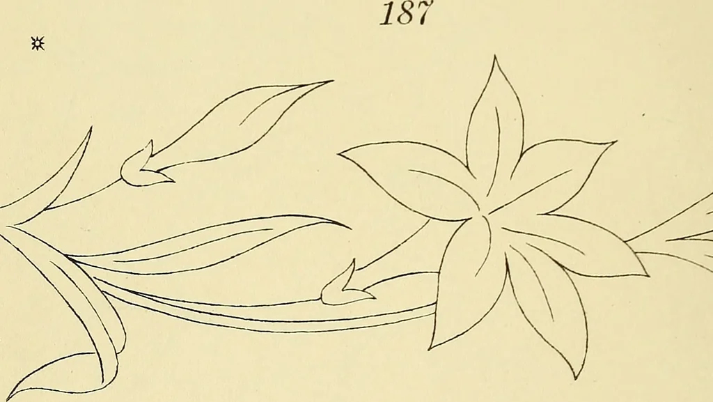 An illustration from Briggs & Co.'s patent transferring papers : patented for the United States of America, 1880, leaf 29